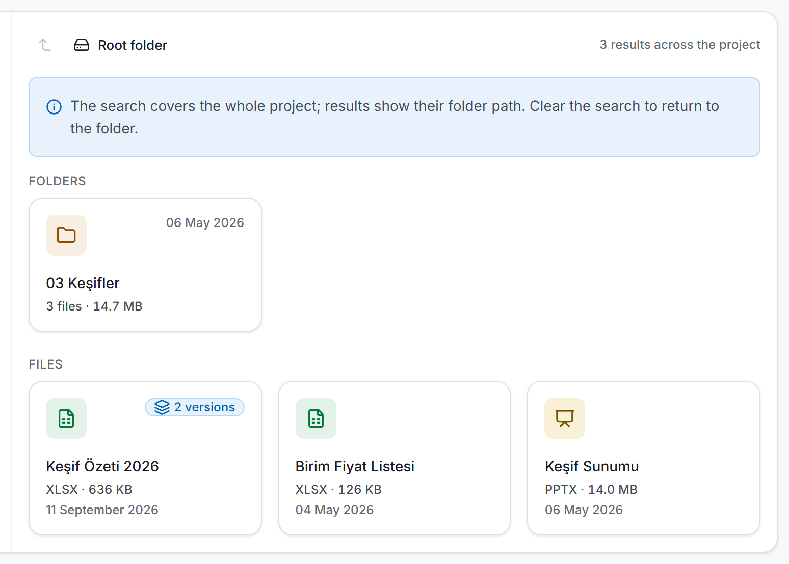 Project-wide search: the information strip, the result count and the matching folder and files